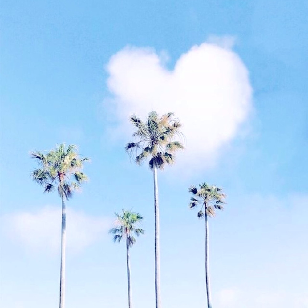 Meet your Posher, Tonys